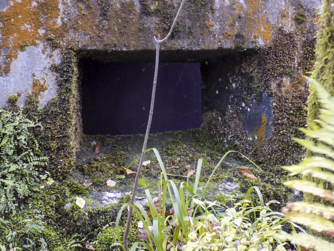 Ligne Maginot - Blockhaus Bb39-C - La PILLE - Face frontale, créneau gauche - R Tucker