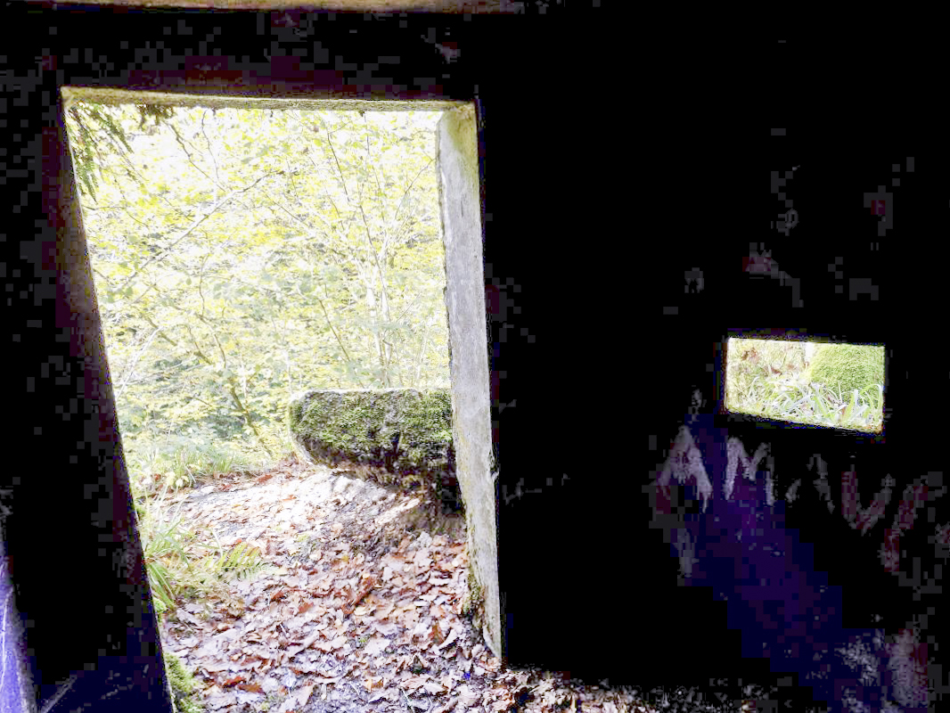Ligne Maginot - Blockhaus Bb39-C - La PILLE - L'entrée et créneau gauche - R Tucker