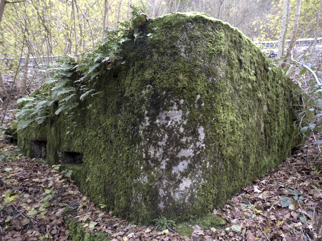 Ligne Maginot - BB40 - LES WEBES - (Blockhaus pour canon) -  - JMBrams