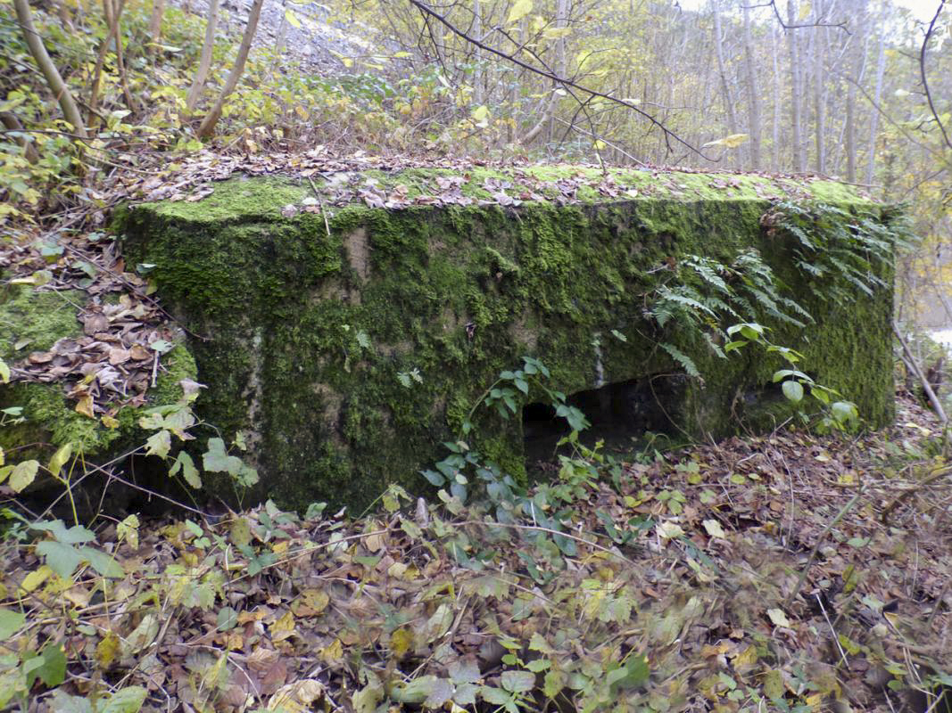 Ligne Maginot - BB40 - LES WEBES - (Blockhaus pour canon) -  - JMBrams