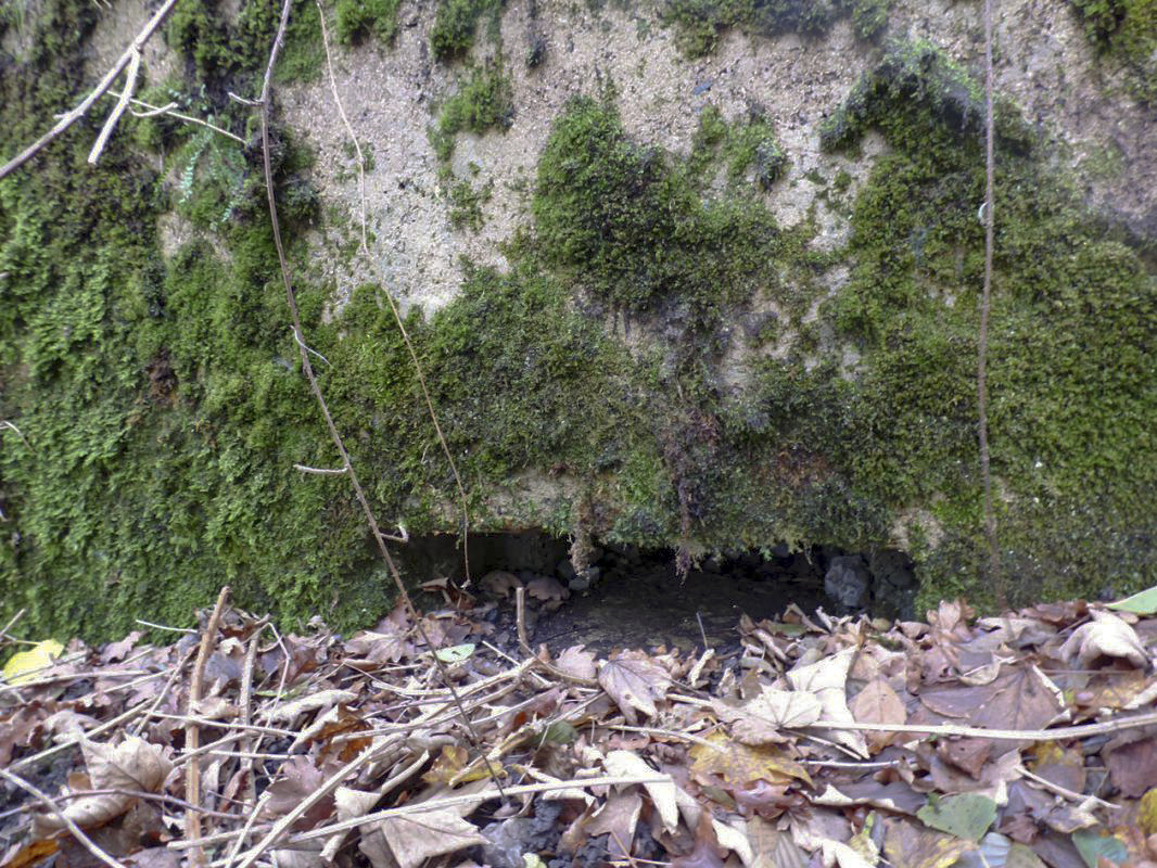 Ligne Maginot - BB40 - LES WEBES - (Blockhaus pour canon) -  - JMBrams