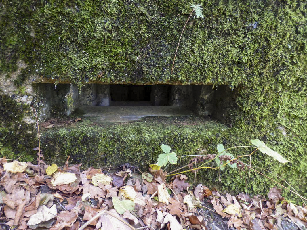 Ligne Maginot - BB40 - LES WEBES - (Blockhaus pour canon) -  - JMBrams