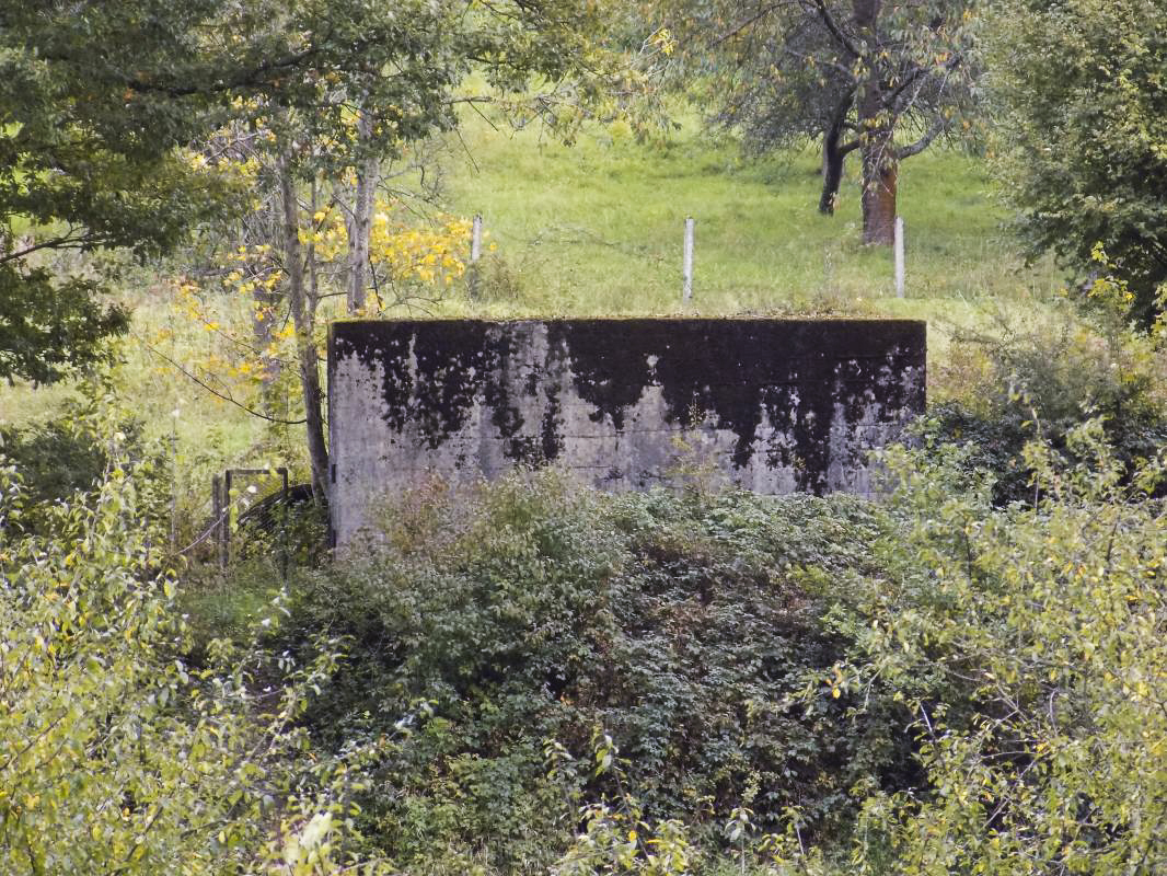 Ligne Maginot - BB44 - ANCHAMPS OUEST - (Blockhaus pour canon) - Face frontale prise de l'autre coté de la Meuse - R Tucker
