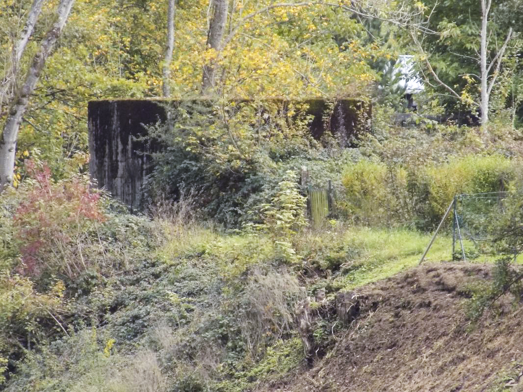 Ligne Maginot - BB44 - ANCHAMPS OUEST - (Blockhaus pour canon) - Faces frontale et gauche prises du pont - R Tucker