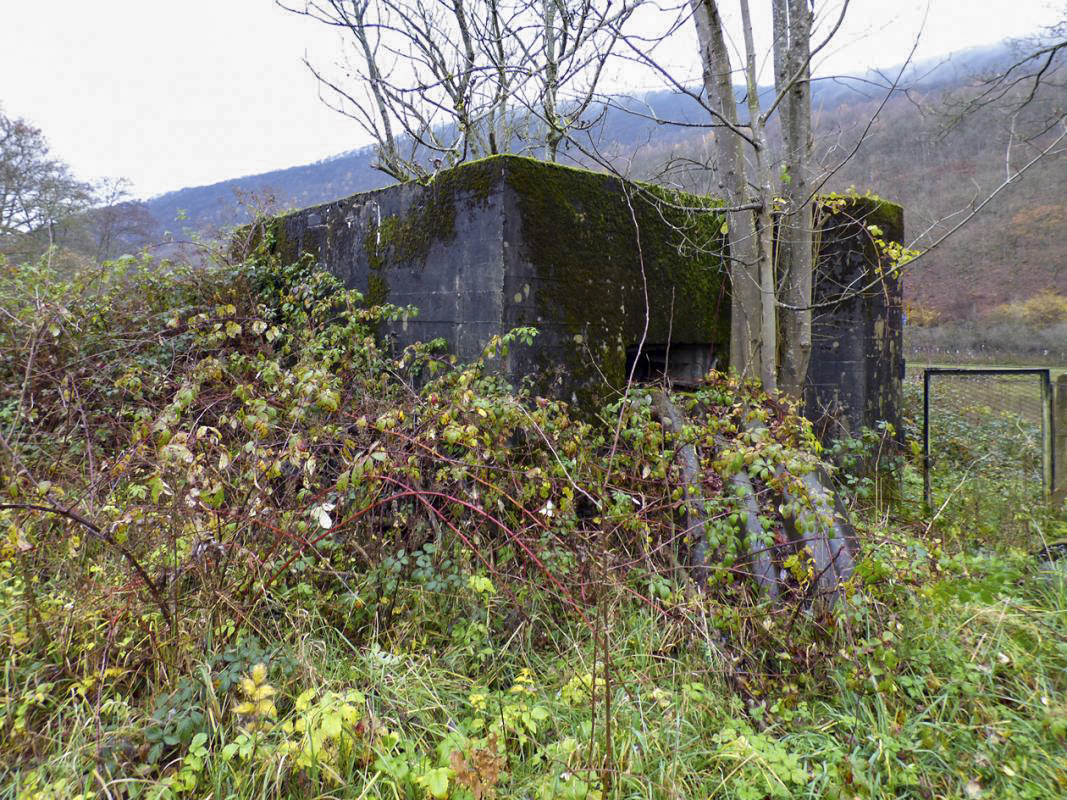 Ligne Maginot - BB44 - ANCHAMPS OUEST - (Blockhaus pour canon) -  - JMBrams