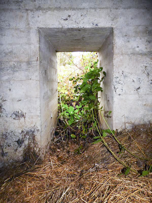Ligne Maginot - BB44 - ANCHAMPS OUEST - (Blockhaus pour canon) -  - JMBrams