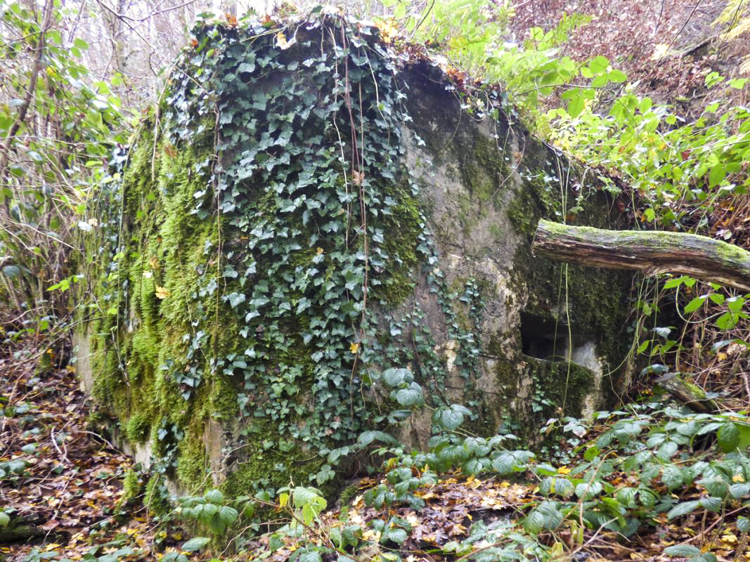 Ligne Maginot - BB47 - PIERRE ROLAND - (Blockhaus pour arme infanterie) -  - JMBrams