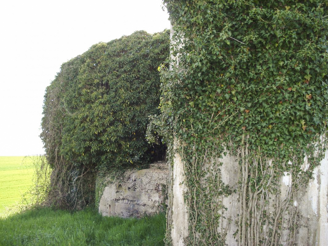 Ligne Maginot - CEZF-14 - POIX-TERRON OUEST - (Casemate d'infanterie - Double) - Face est - R Tucker