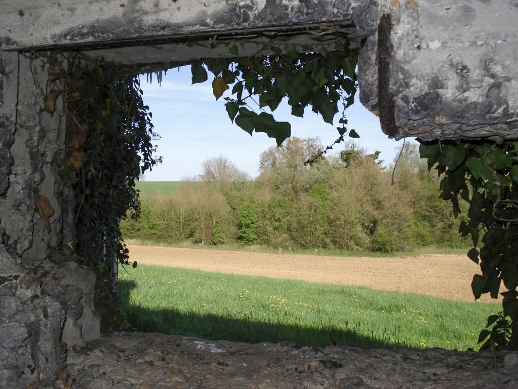 Ligne Maginot - CEZF-14 - POIX-TERRON OUEST - (Casemate d'infanterie - Double) - Vue vers l'est - R Tucker