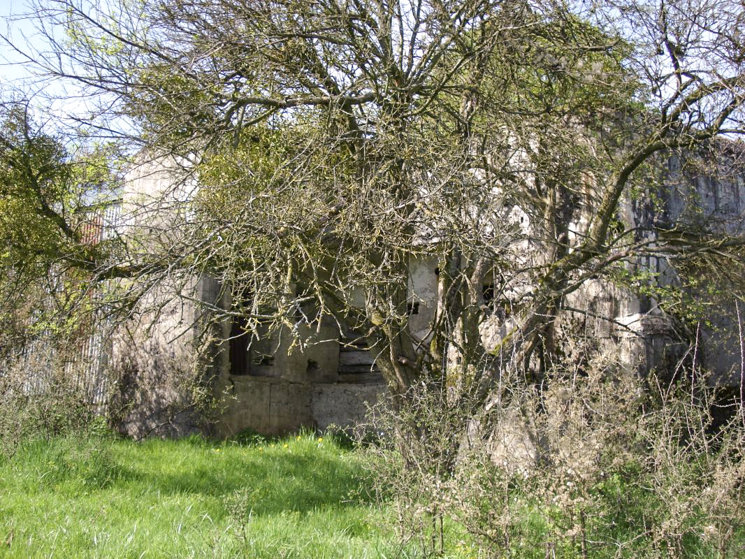 Ligne Maginot - CEZF-15 - CIMETIERE DE MONTIGNY - (Casemate d'infanterie - Double) - L’arrière - R Tucker