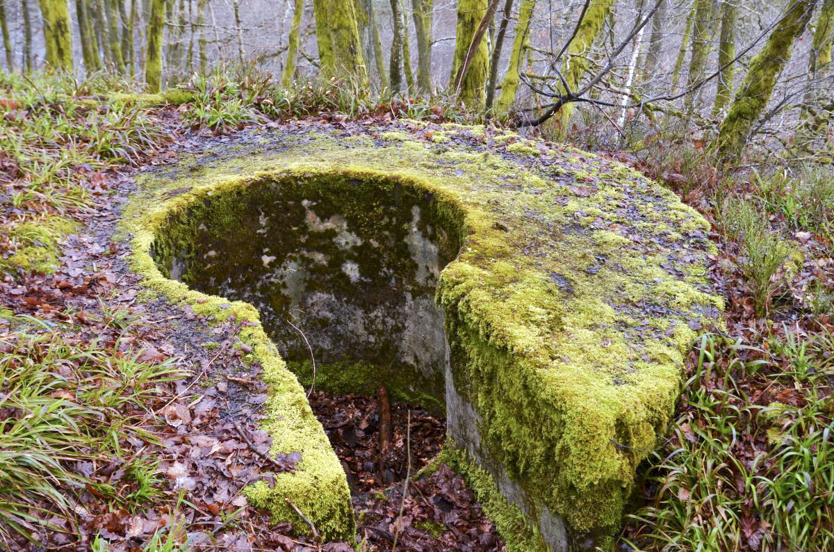 Ligne Maginot - TD16 BIS - ROUTE DE LES MAZURES - (Cuve pour arme d'infanterie) - Cuve en béton encore en bon état général - guy Meunier