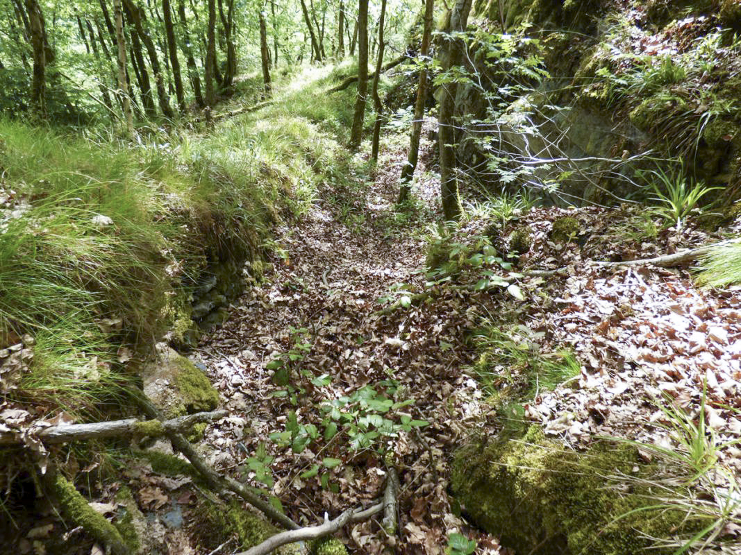 Ligne Maginot - TD16 BIS - ROUTE DE LES MAZURES - (Cuve pour arme d'infanterie) - Tranchée joignant la cuve - JMBrams