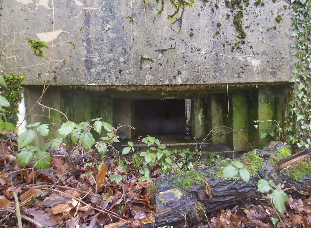 Ligne Maginot - BB8-A - BEAUX SARTS - (Blockhaus pour arme infanterie) -  - JMBrams