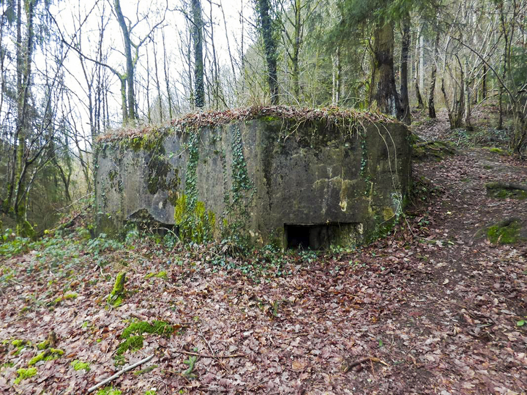Ligne Maginot - BB8-A - BEAUX SARTS - (Blockhaus pour arme infanterie) -  - JMBrams