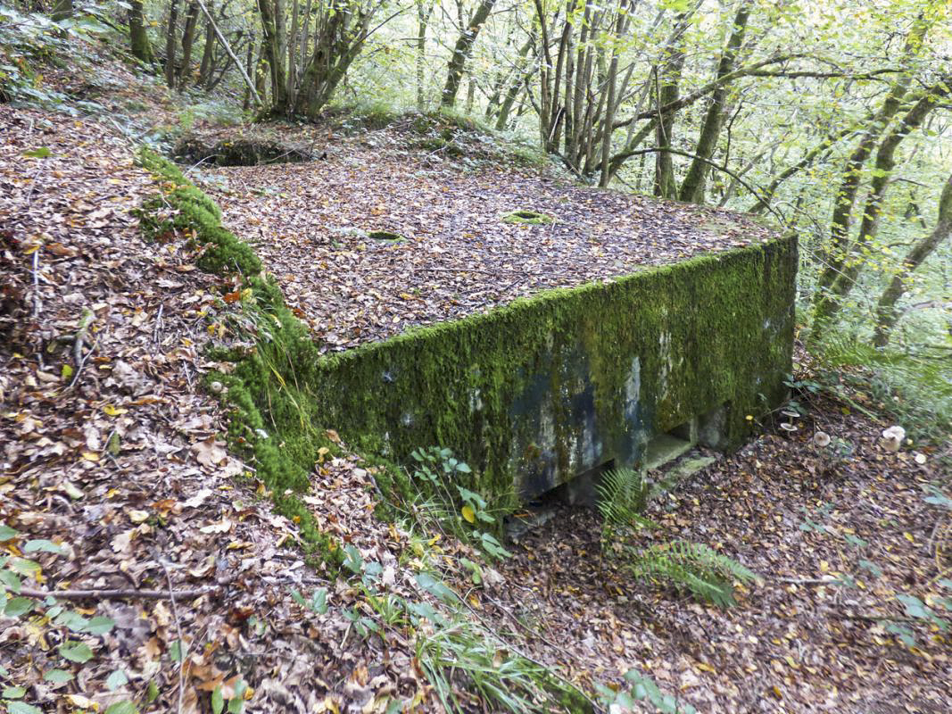 Ligne Maginot - BB10-A - CIMETIERE DE BOGNY - (Blockhaus de type indéterminé) -  - JMBrams