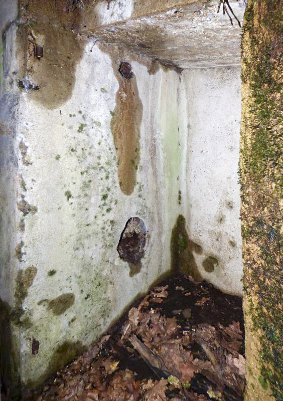 Ligne Maginot - BB10-A - CIMETIERE DE BOGNY - (Blockhaus de type indéterminé) -  - JMBrams