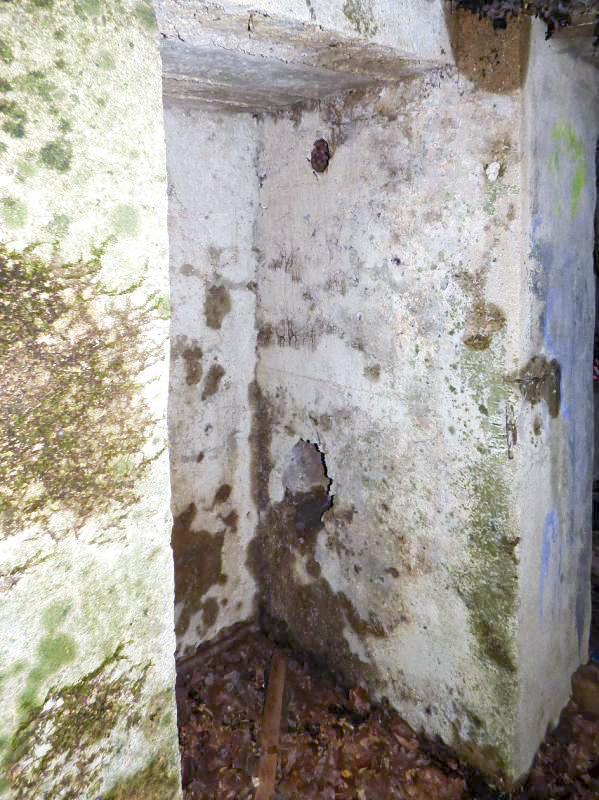 Ligne Maginot - BB10-A - CIMETIERE DE BOGNY - (Blockhaus de type indéterminé) -  - JMBrams