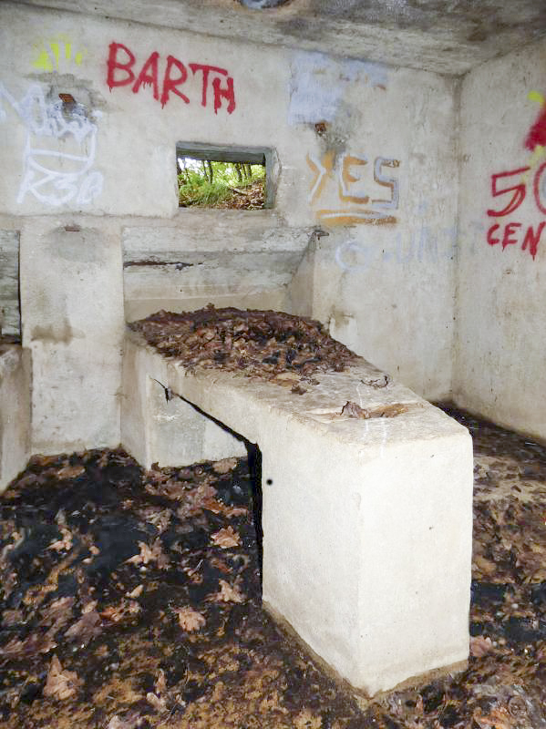 Ligne Maginot - BB10-A - CIMETIERE DE BOGNY - (Blockhaus de type indéterminé) -  - JMBrams