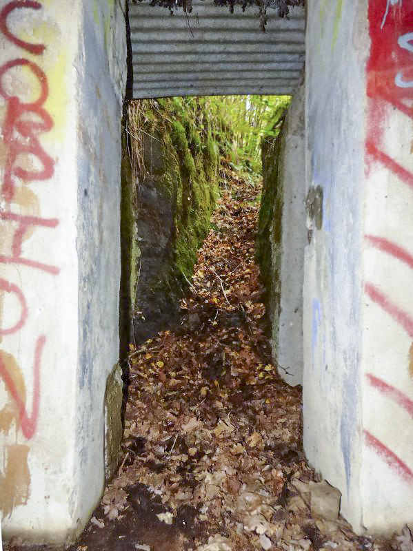 Ligne Maginot - BB10-A - CIMETIERE DE BOGNY - (Blockhaus de type indéterminé) -  - JMBrams