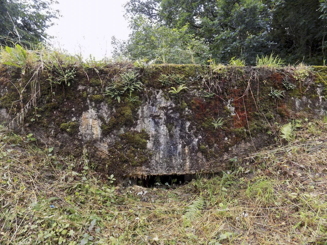 Ligne Maginot - BB12-A - BRAUX OUEST - (Blockhaus pour canon) - Face Face frontale - R Tucker