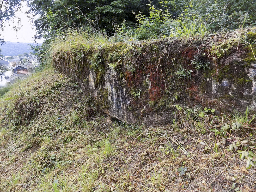 Ligne Maginot - BB12-A - BRAUX OUEST - (Blockhaus pour canon) - Face Face frontale - R Tucker