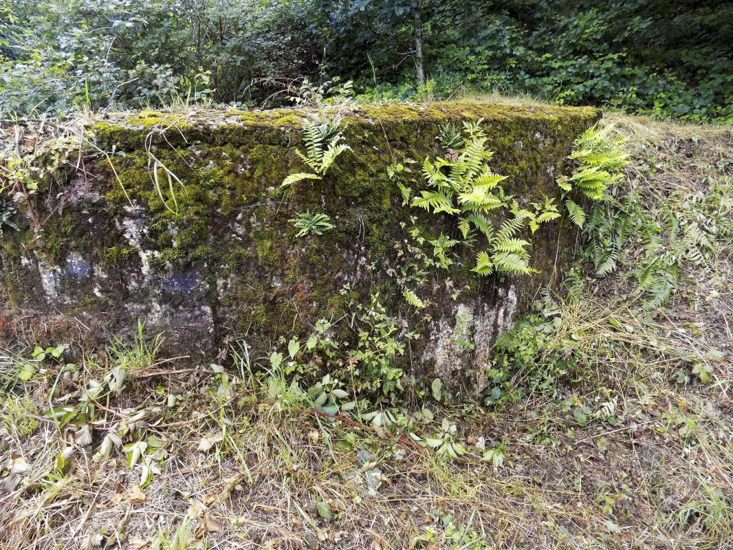 Ligne Maginot - BB12-A - BRAUX OUEST - (Blockhaus pour canon) - Face droite - R Tucker