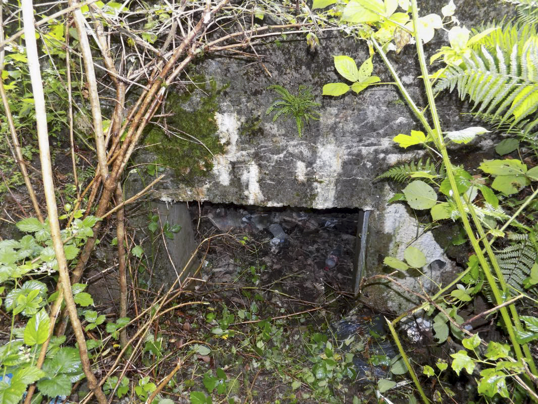 Ligne Maginot - BB12-A - BRAUX OUEST - (Blockhaus pour canon) - L'entrée AC - R Tucker