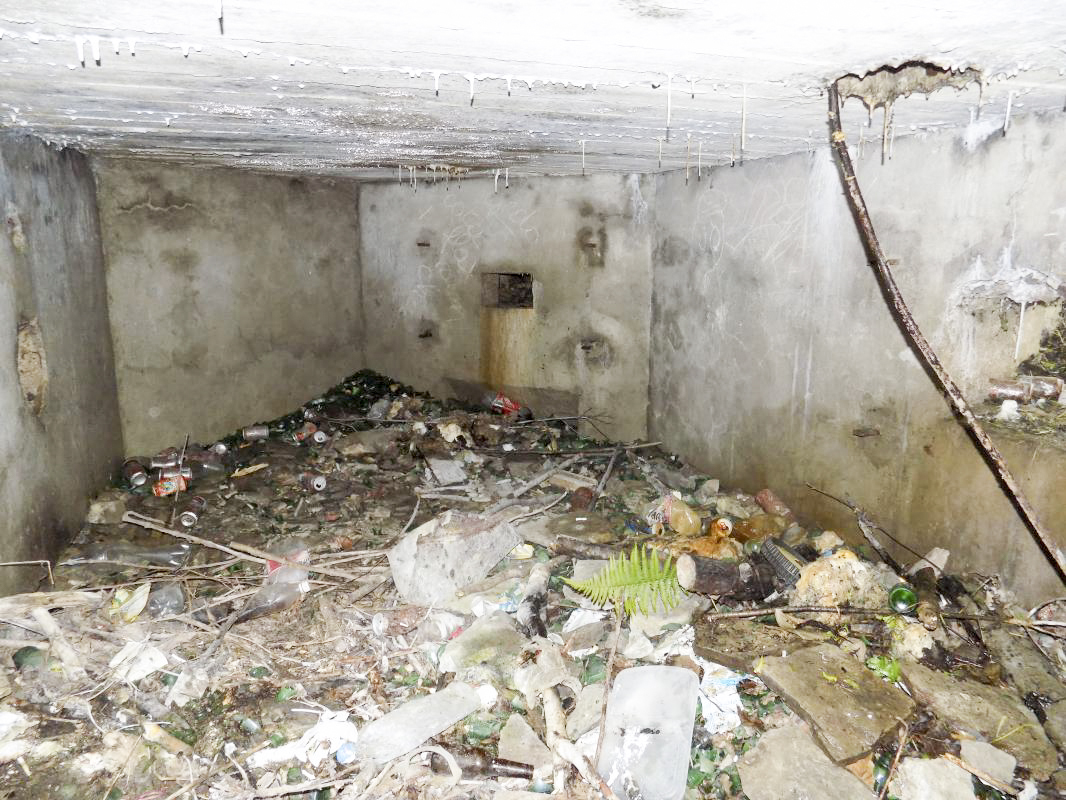 Ligne Maginot - BB12-A - BRAUX OUEST - (Blockhaus pour canon) - Faces gauches, créneau Hotchkiss - R Tucker