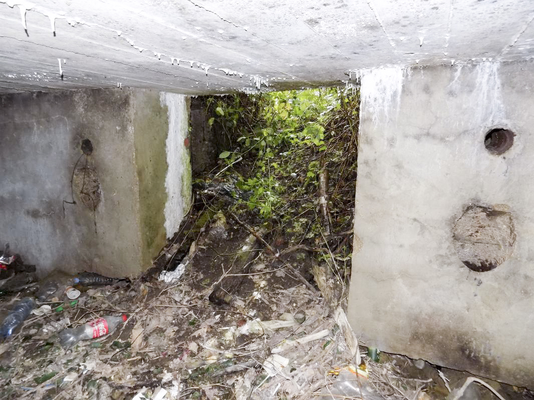 Ligne Maginot - BB12-A - BRAUX OUEST - (Blockhaus pour canon) - L'entrée AC - R Tucker