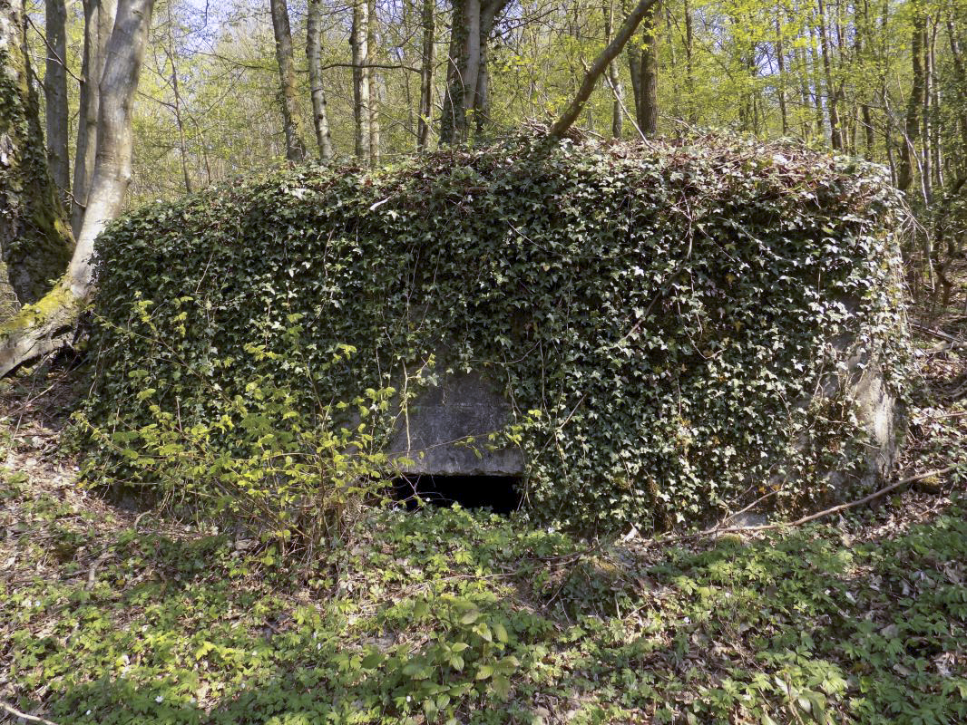 Ligne Maginot - BB49 - LES DAMES DE MEUSE - (Blockhaus pour canon) - Face frontale - R Tucker