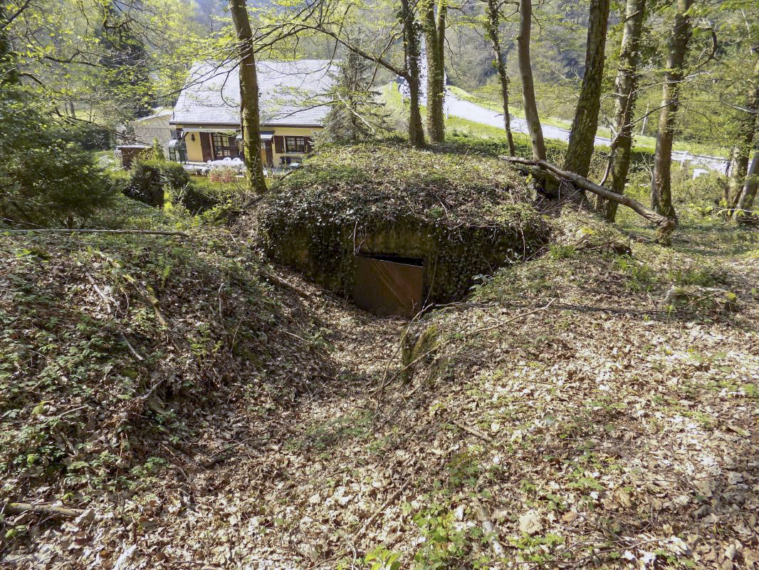 Ligne Maginot - BB49 - LES DAMES DE MEUSE - (Blockhaus pour canon) - L'arrière - R Tucker