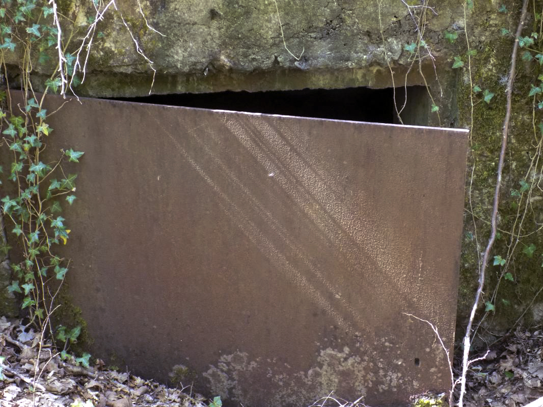 Ligne Maginot - BB49 - LES DAMES DE MEUSE - (Blockhaus pour canon) - L'entrée AC - R Tucker