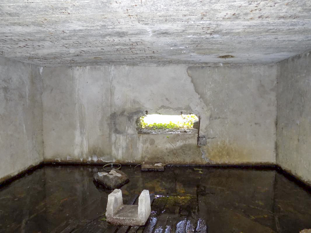 Ligne Maginot - BB49 - LES DAMES DE MEUSE - (Blockhaus pour canon) - Face frontale, créneau AC - R Tucker