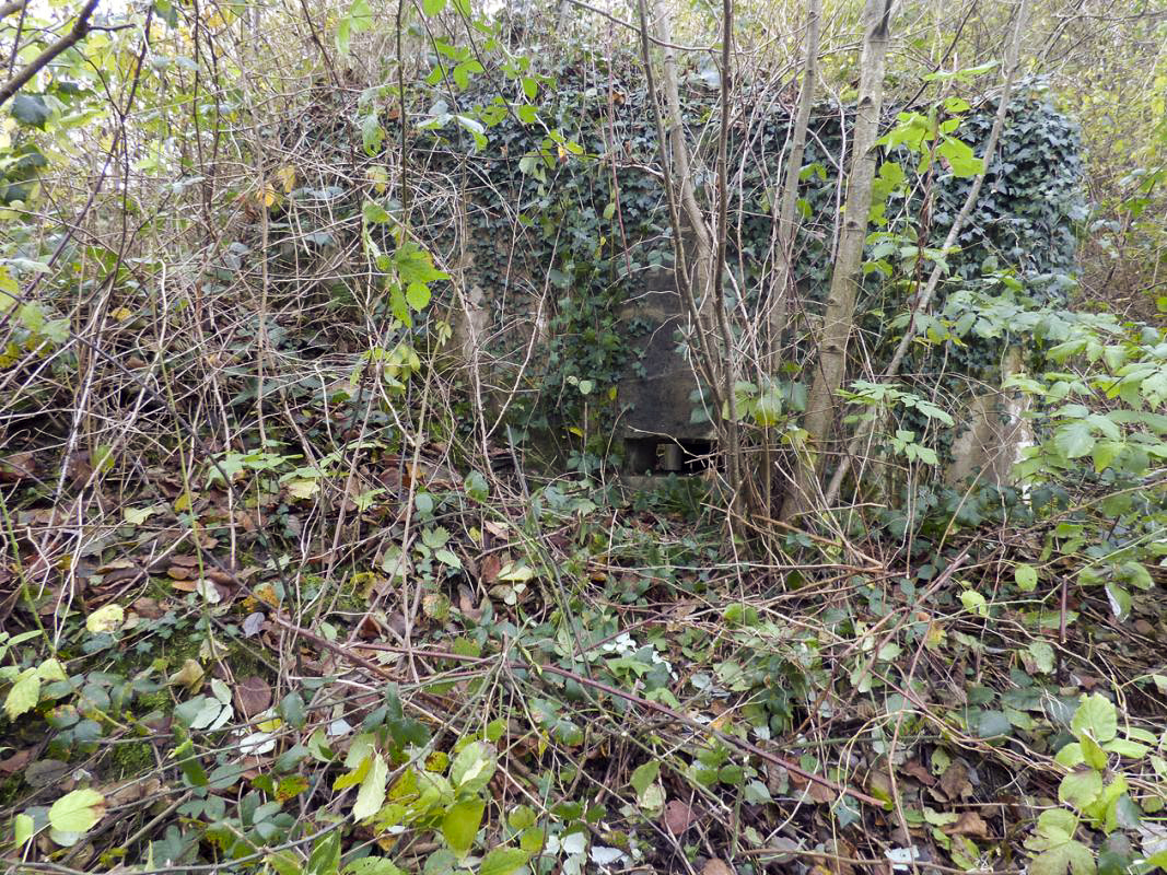 Ligne Maginot - BB51 - LE PAS BAYARD - (Blockhaus pour arme infanterie) -  - JMBrams