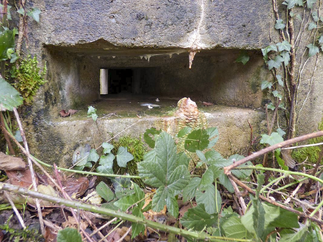 Ligne Maginot - BB51 - LE PAS BAYARD - (Blockhaus pour arme infanterie) -  - JMBrams