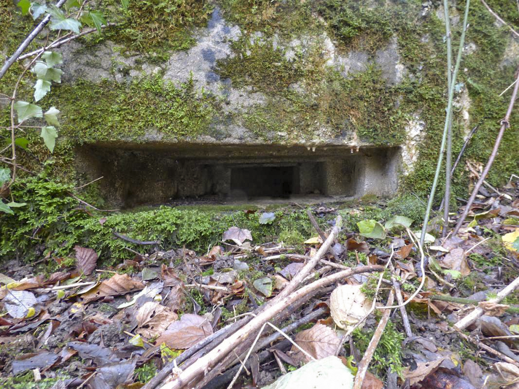 Ligne Maginot - BB51 - LE PAS BAYARD - (Blockhaus pour arme infanterie) -  - JMBrams