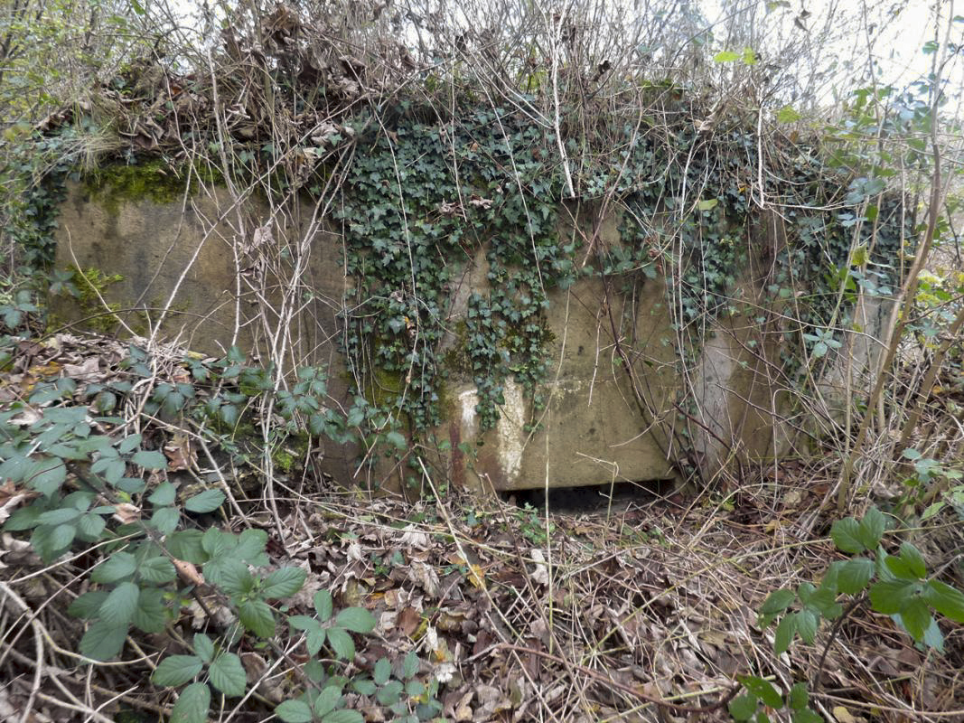Ligne Maginot - BB51 - LE PAS BAYARD - (Blockhaus pour arme infanterie) -  - JMBrams