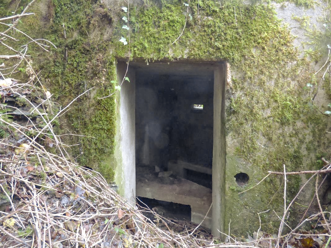 Ligne Maginot - BB51 - LE PAS BAYARD - (Blockhaus pour arme infanterie) -  - JMBrams