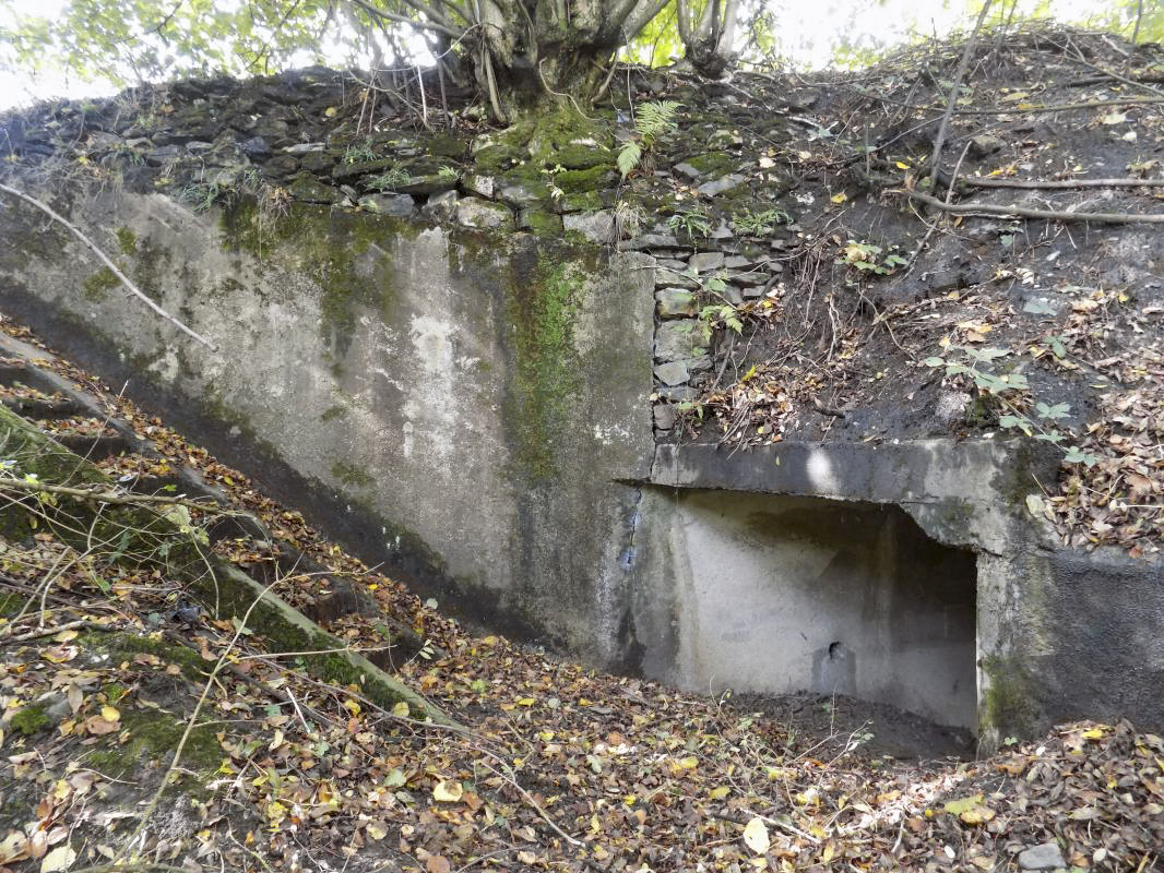 Ligne Maginot - BB52 - MAIRUPT - (Blockhaus pour canon) - L'escalier vers l'entrée AC - R Tucker