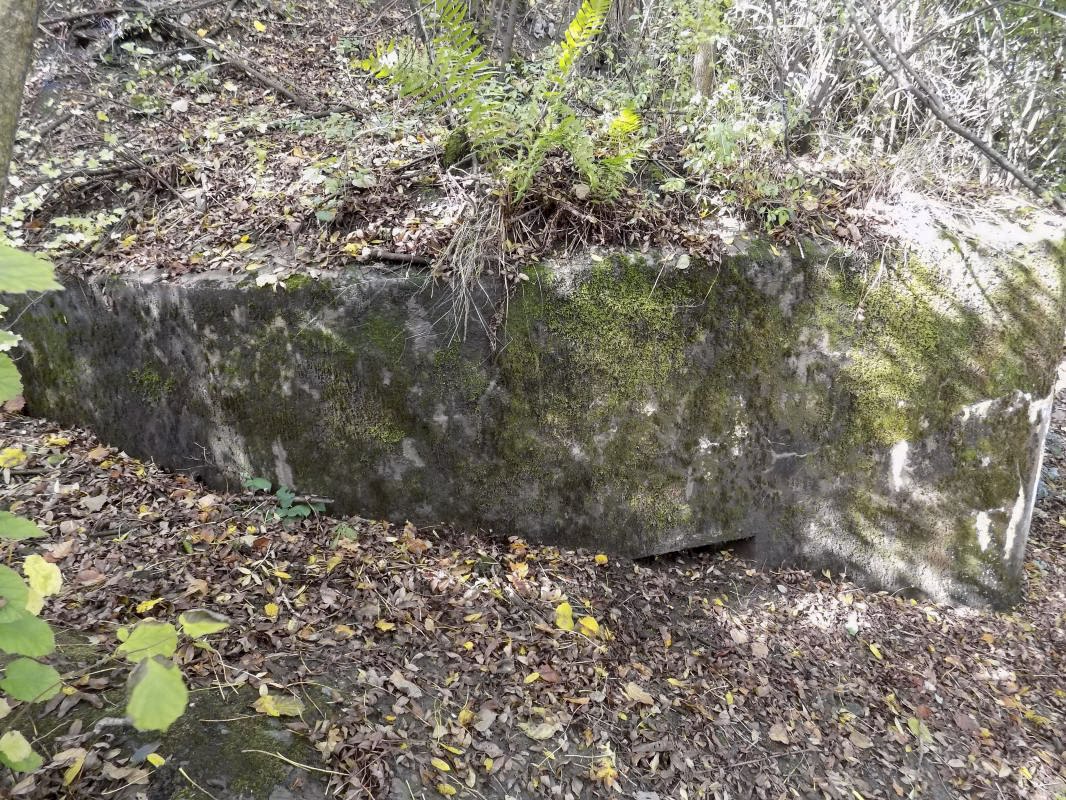 Ligne Maginot - BB52 - MAIRUPT - (Blockhaus pour canon) - Face droite, créneau Hotchkiss sous terre et créneau FM visible à droite - R Tucker