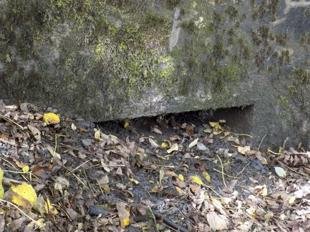 Ligne Maginot - BB52 - MAIRUPT - (Blockhaus pour canon) - Face centrale, créneau FM - R Tucker