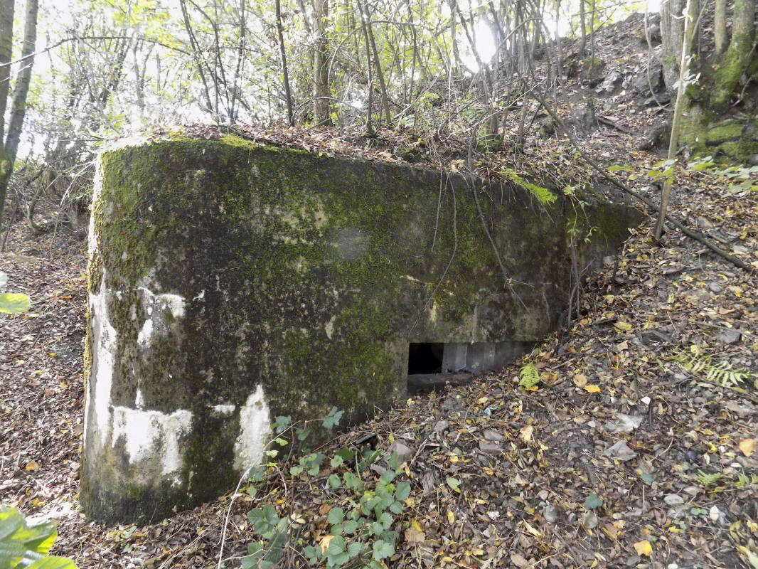 Ligne Maginot - BB52 - MAIRUPT - (Blockhaus pour canon) - Face gauche, créneau AC et créneau Hotchkiss caché sous terre - R Tucker