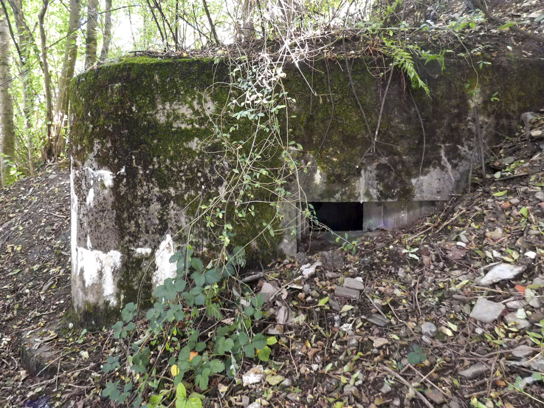 Ligne Maginot - BB52 - MAIRUPT - (Blockhaus pour canon) -  - JMBrams