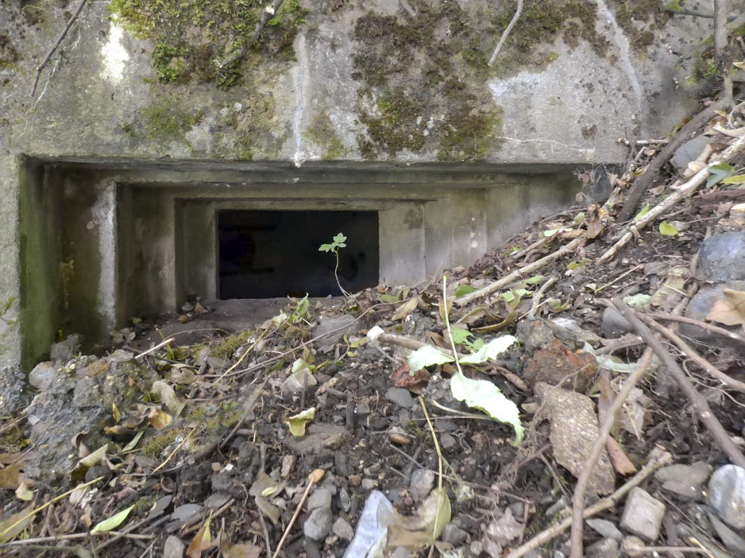 Ligne Maginot - BB52 - MAIRUPT - (Blockhaus pour canon) -  - JMBrams