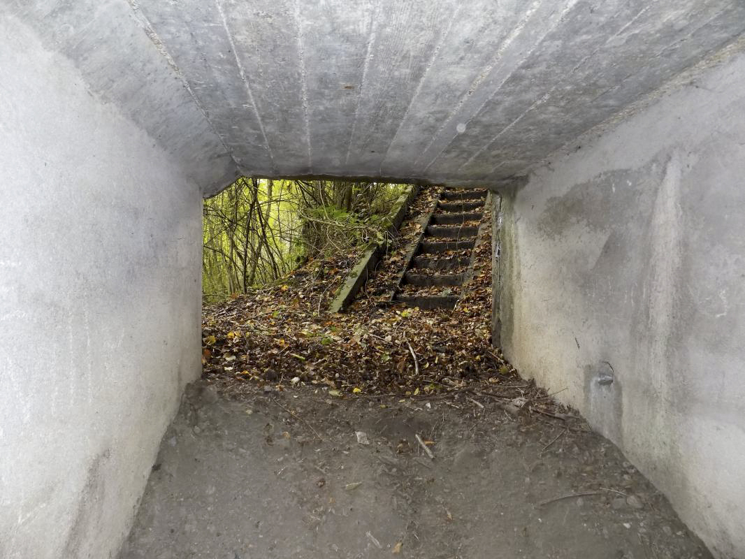 Ligne Maginot - BB52 - MAIRUPT - (Blockhaus pour canon) - Vue vers l’extérieur
 - R Tucker