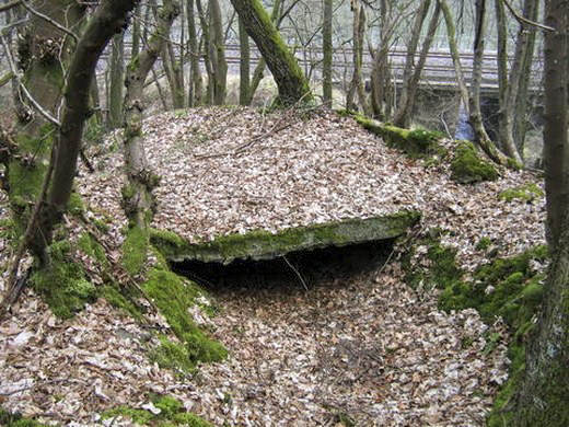 Ligne Maginot - BB53-A - BOIS L'ABBE - (Blockhaus pour arme infanterie) -  - AALMA - www.lignemaginot.com