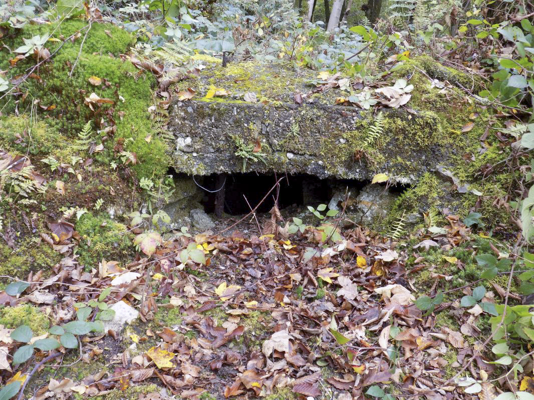 Ligne Maginot - BB53-A - BOIS L'ABBE - (Blockhaus pour arme infanterie) - Créneau, face droite - R Tucker
