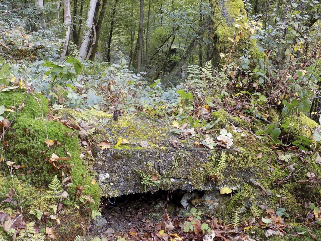 Ligne Maginot - BB53-A - BOIS L'ABBE - (Blockhaus pour arme infanterie) - Créneau, face droite, avec bâtiment industriel derrière - R Tucker