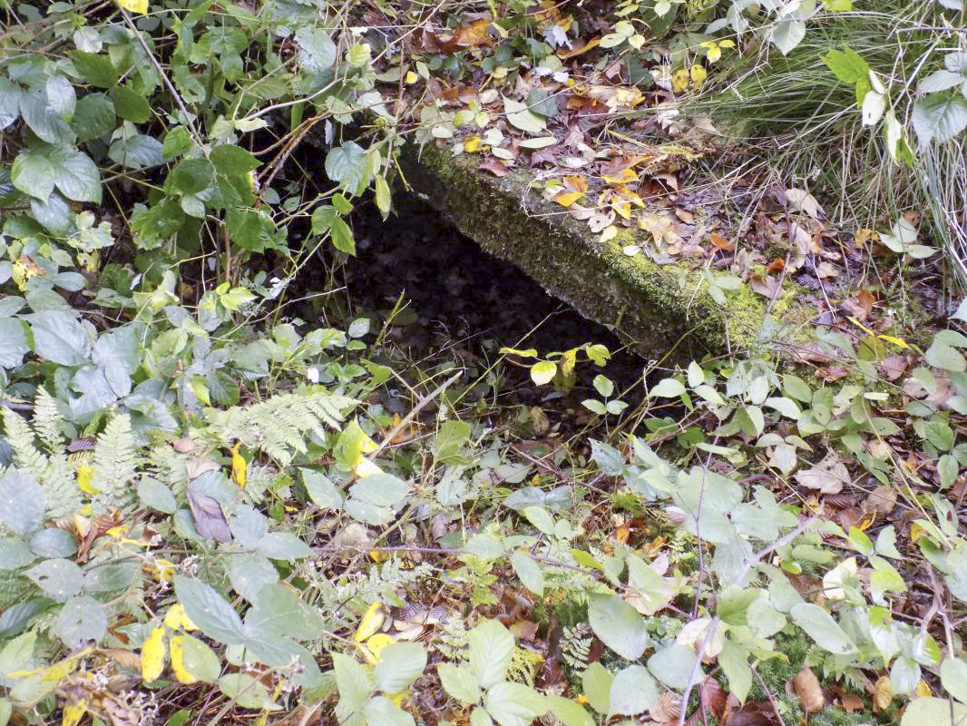 Ligne Maginot - BB53-A - BOIS L'ABBE - (Blockhaus pour arme infanterie) - L'entrée à l'arrière - R Tucker
