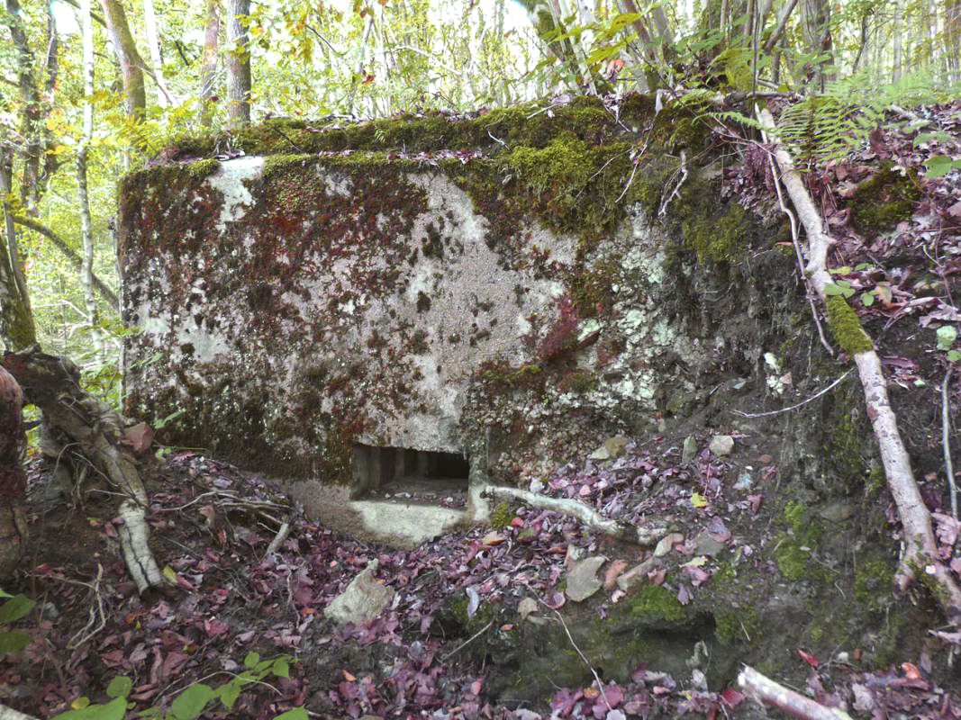 Ligne Maginot - BB53-B - LA CARBONNIERE SUD - (Blockhaus pour arme infanterie) -  - JMBrams